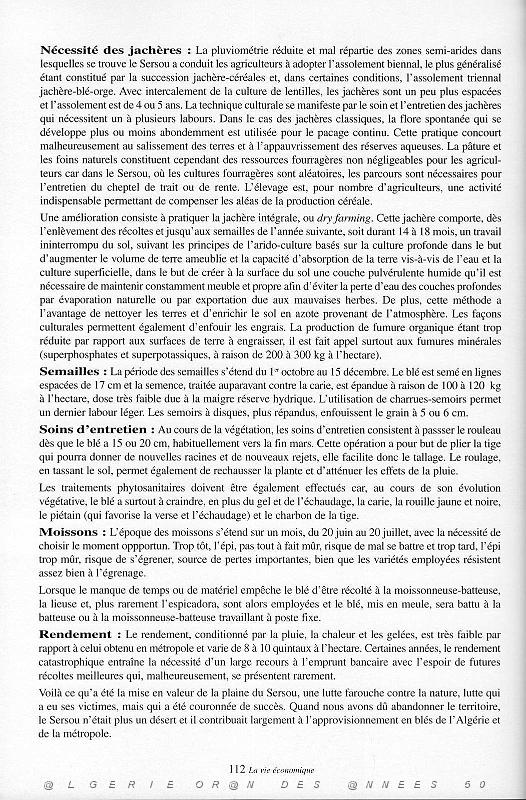 Culture Burdeau - 03.JPG